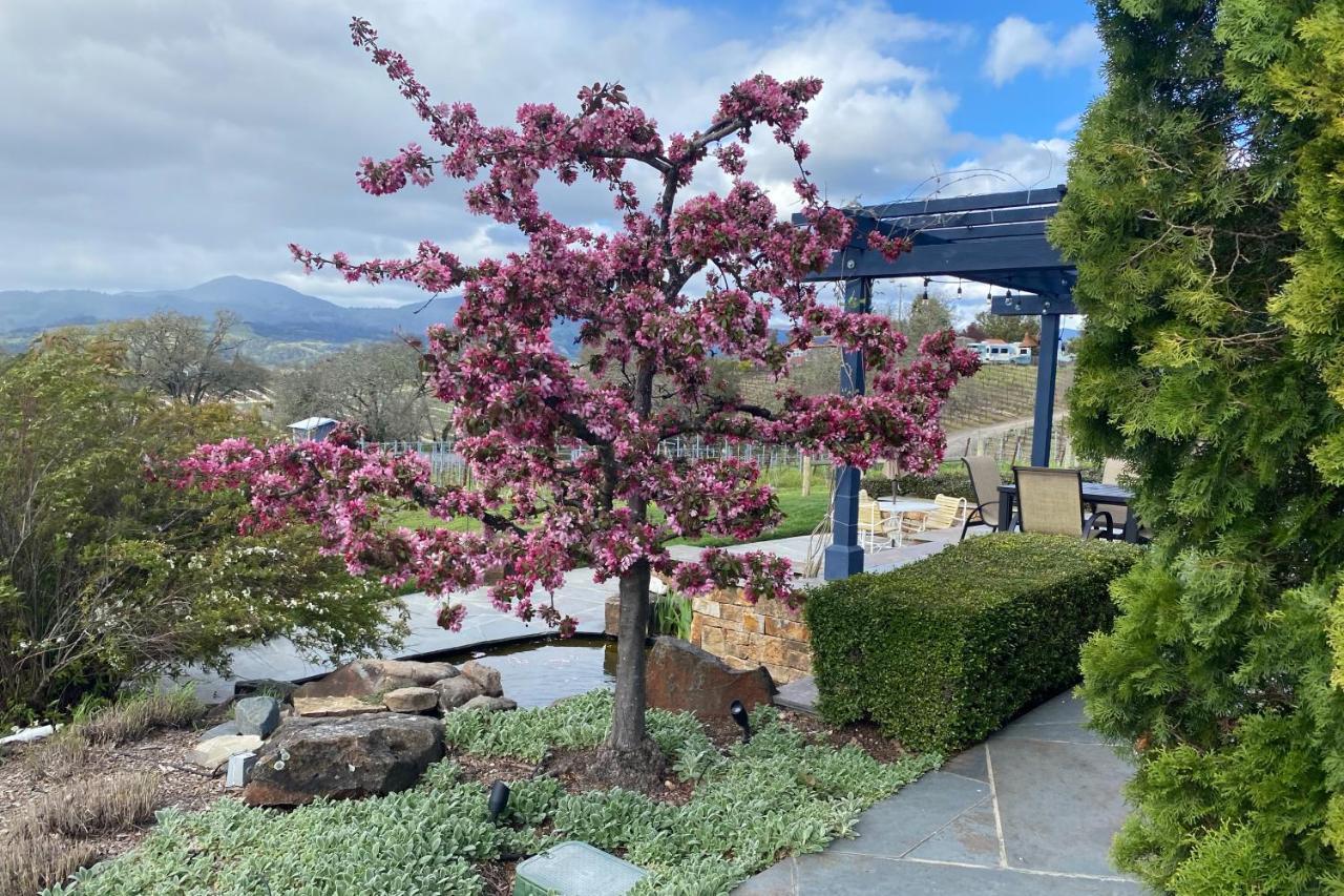 Alexander Valley Retreat ヒールズバーグ エクステリア 写真