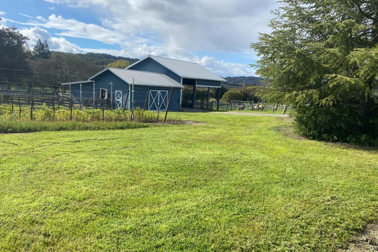 Alexander Valley Retreat ヒールズバーグ エクステリア 写真