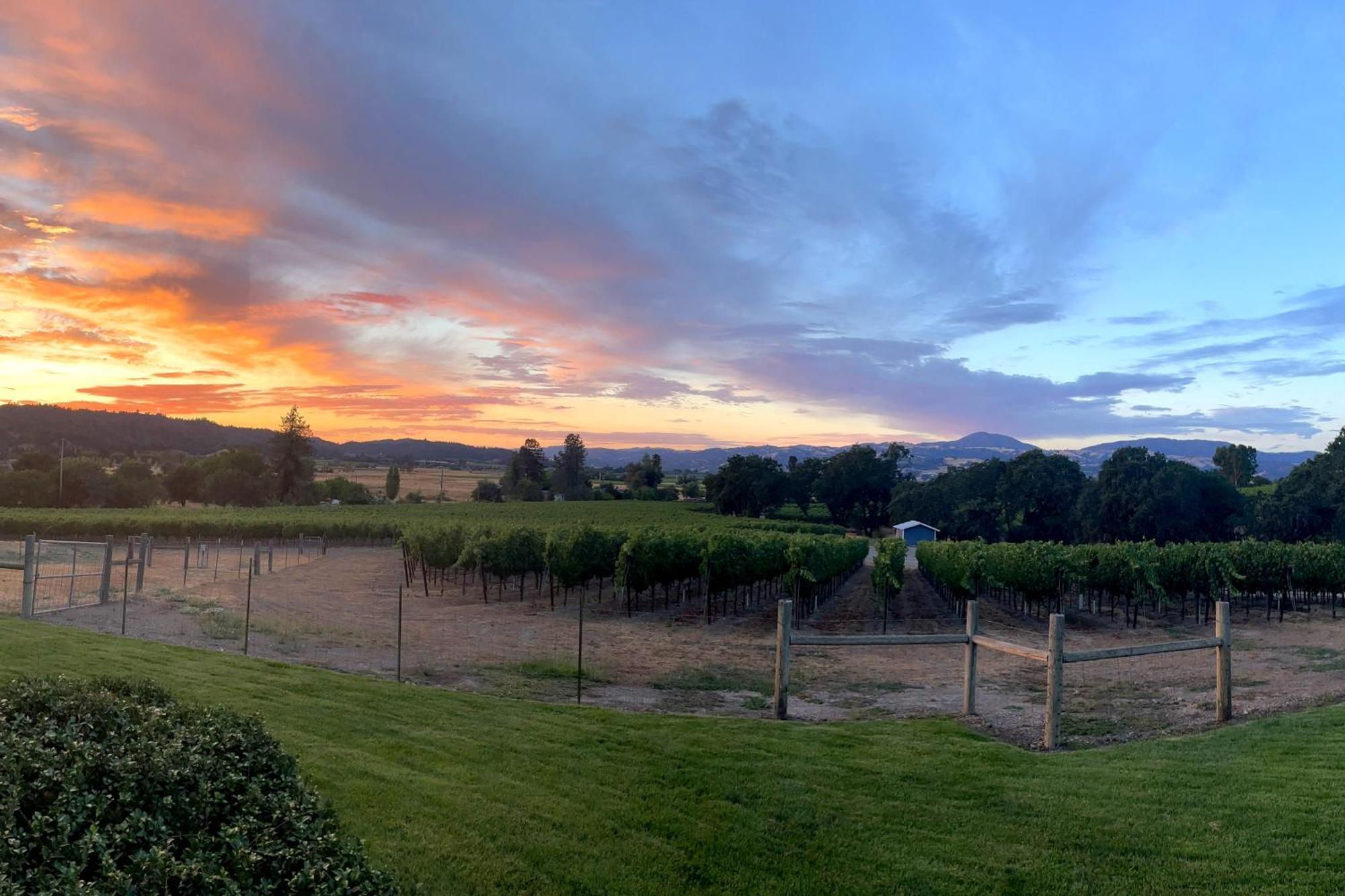 Alexander Valley Retreat ヒールズバーグ エクステリア 写真
